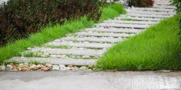 beautiful-walkway-garden-with-copy-space_281658-100