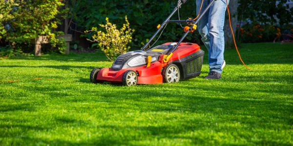 man-jeans-mows-grass-garden-with-lawn-mower-summer-day