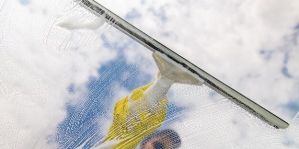 window-cleaner-using-squeegee-wash-window_419829-505