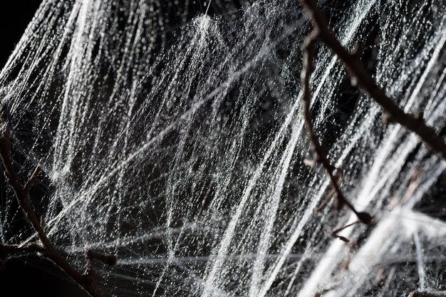 abstract-spiderweb-black_537415-1251