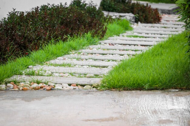 beautiful-walkway-garden-with-copy-space_281658-100