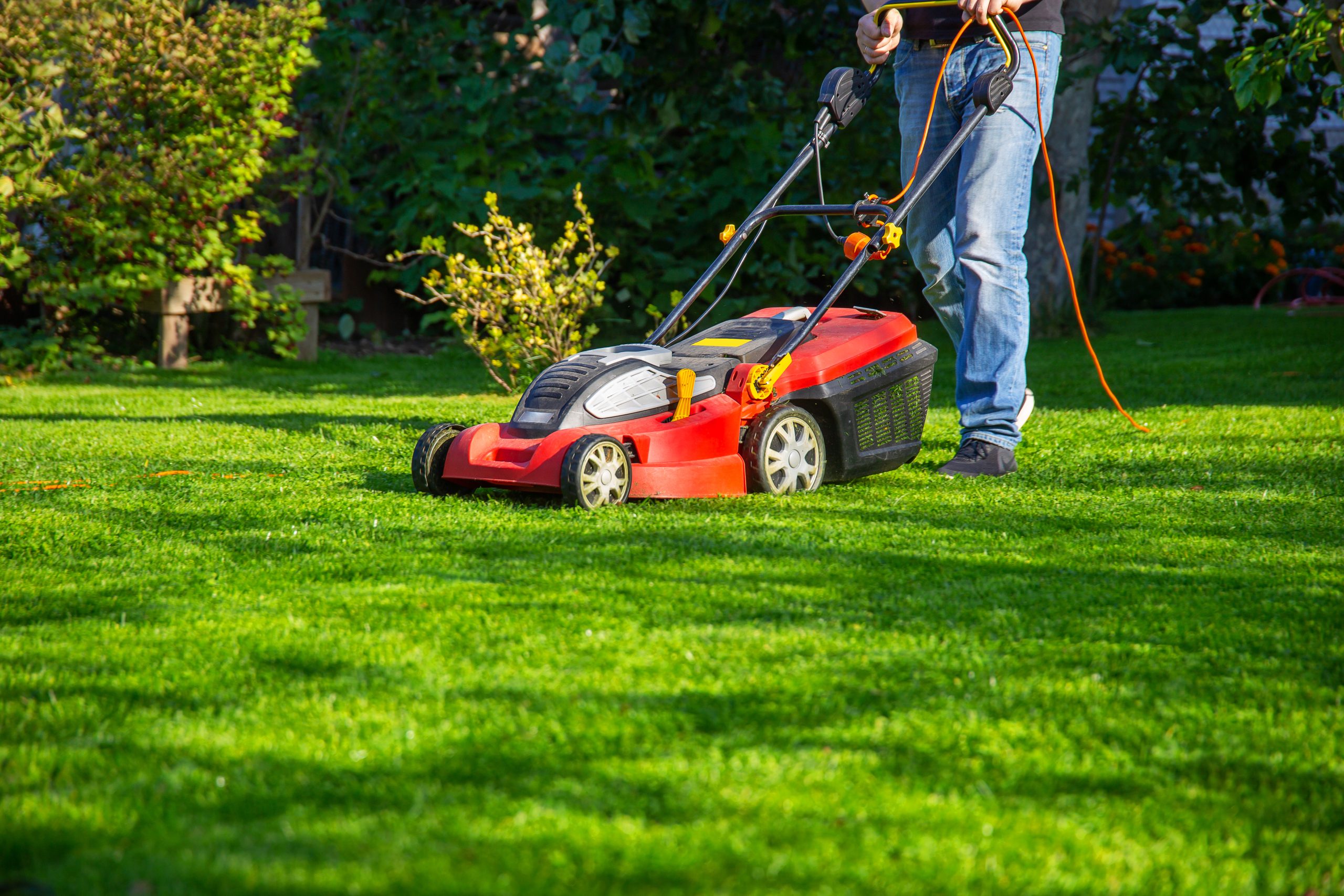 man-jeans-mows-grass-garden-with-lawn-mower-summer-day